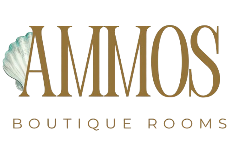 ammosboutiquerooms